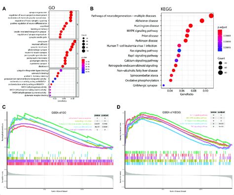 Gsea Bubble Plot