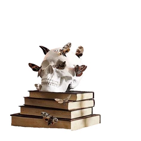 Skull And Books Png Aesthetic Objects Dark Academia Icons Minimalist Icons