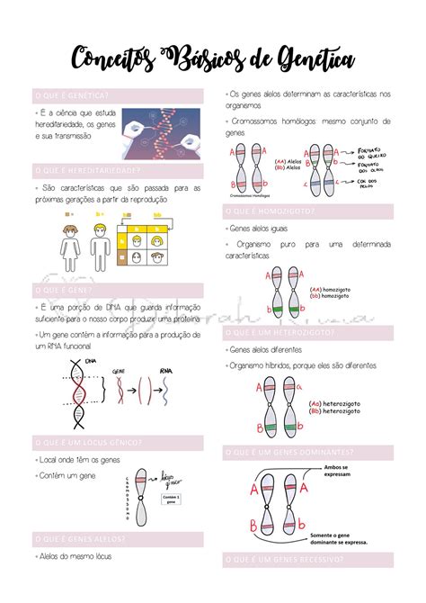 Conceitos B Sicos De Gen Tica Warning Tt Undefined Function