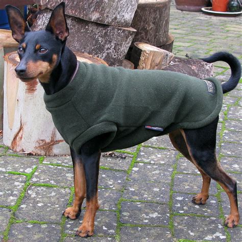 Polartec Fleece Dog Tank-Top - Rainproof, Breathable, Warm and Washable ...