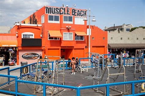 Muscle Beach Venice Stock Photos, Pictures & Royalty-Free Images - iStock