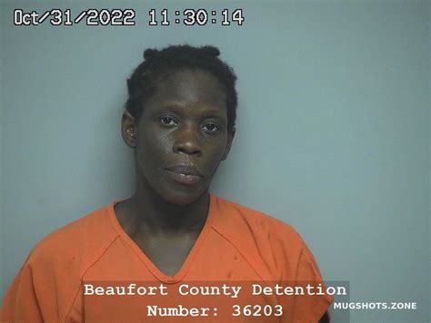 SIERRA AISHA CLEMONS 03 02 2023 Beaufort County Mugshots Zone