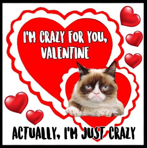 Grumpy Cat Valentines ️ Happy Valentines Day Quotes Humor Grumpy Cat