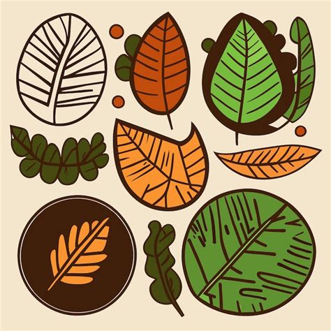 Premium Vector Rainforest Leaf Vector Art Flat Design Vector Icon Set