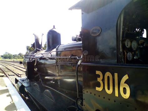 Historical Old Steam Train at Historical Exhibition in Regional NSW, Australia Editorial Stock ...