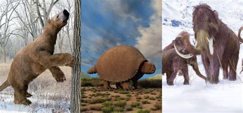 Prehistoric animals you won't believe existed