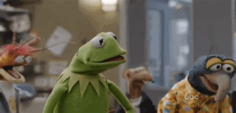 Kermit GIFs - Find & Share on GIPHY