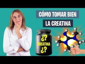 Los Beneficios Y Efectos De La Glutamina En El Intestino Todo Lo Que