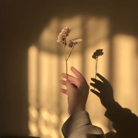 Simplicity in Nature: Beautiful Flower Wallpaper