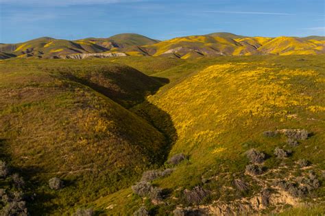 Explore Carrizo Plain National Monument – MilaDidIt