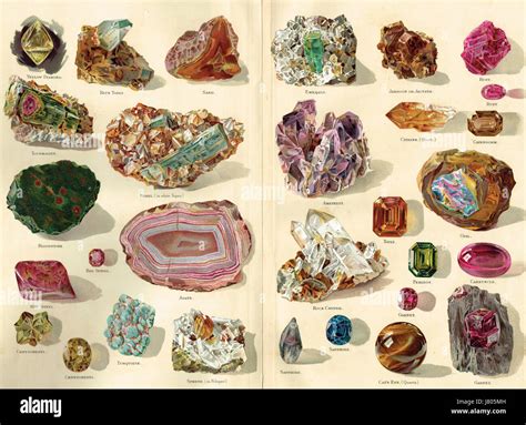 Illustration Of Precious Stones Selection 1898 Stock Photo Alamy