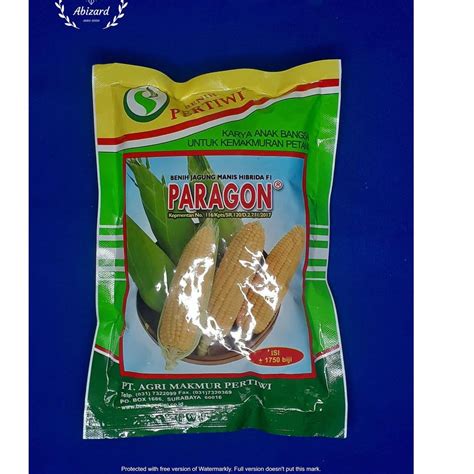 Jual Star Benih Bibit Jagung Manis Hibrida F Paragon Gr Butir