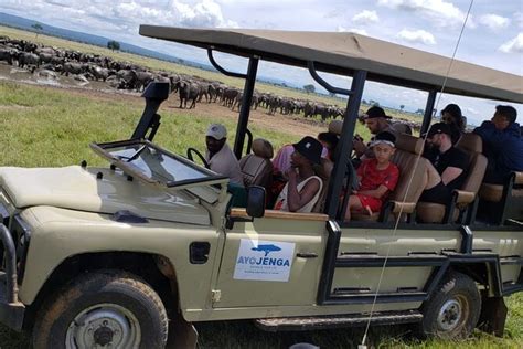 Mikumi National Park Full Day Private Safari With Lunch 2024 Morogoro