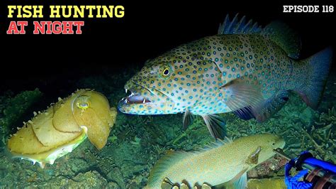 NIGHT SPEARFISHING EPISODE 118 FISH HUNTING AT NIGHT Dolan Laut YouTube