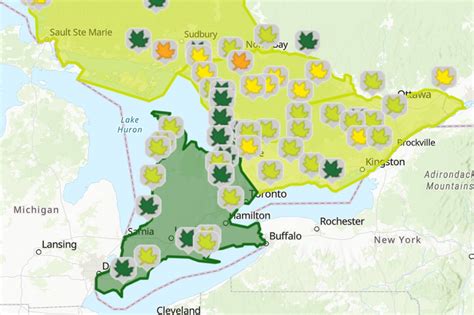 Fall colours are starting to appear in Ontario and here's where to find ...