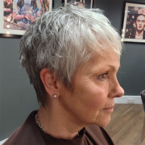 Short Haircuts For Thin Gray Hair Hairstylelist