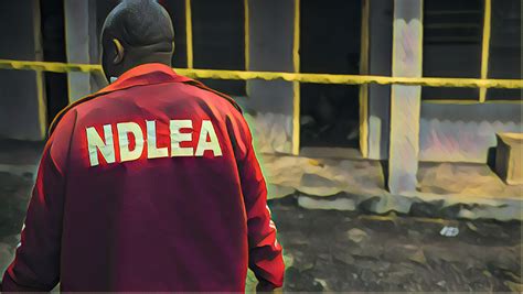 NDLEA Detains Noted Drug Baron Seizes Four Tons Of Illicit Drugs The