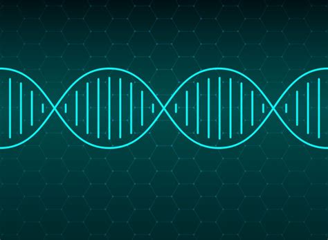 Ancient DNA lab maps little-explored human lineages