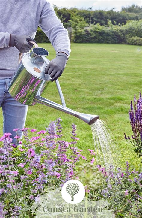 Купить садовую большую лейку для цветов 9 л. Smart Garden | Лейки ...