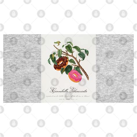 Ciambella Ghiacciata Donut Tree Classic Botanical Art From Pomona