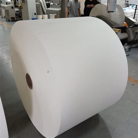 Cup Paper Roll With Double PE Coating 230GSM PE Coated Paper Roll