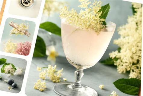 Discover Delightful Elderberry & Elderflower Cocktails for Natural ...