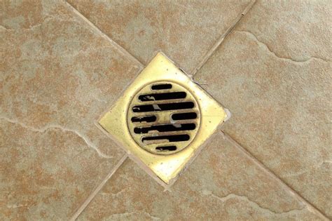 Floor Drain Clogged | Floor Roma