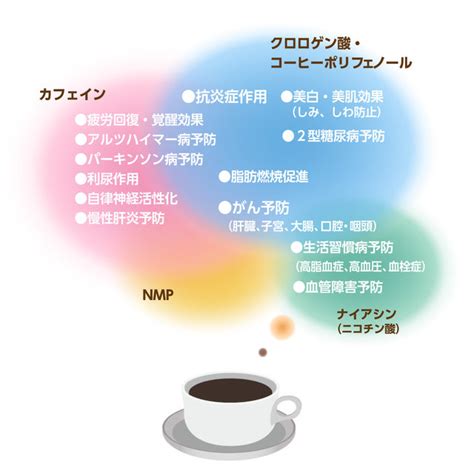 コーヒーの健康効果とは？1日3～5杯でアンチエイジング！ ｜ からだにいいこと