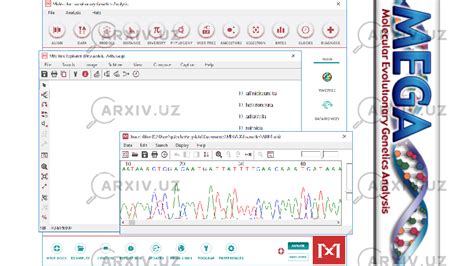 Biotexnologiyada IQ Intelligence Quotient Darajasini Ahamiyati