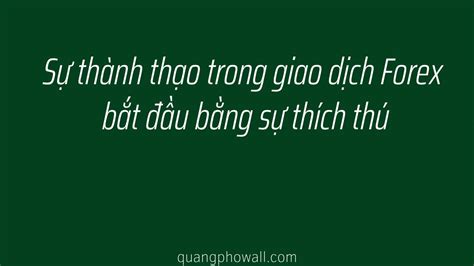 T M Hi U Chi Ti T V Qu Ftmo L G Quangphowall