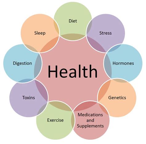 5 Dimensions Of Holistic Health In Venn Diagram Health 7 Q1