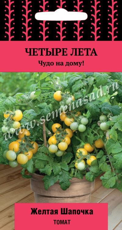 томат желтая шапочка | Экодача