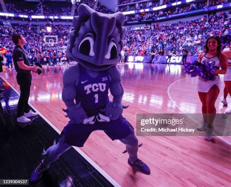 Tcu Mascot Photos and Premium High Res Pictures - Getty Images