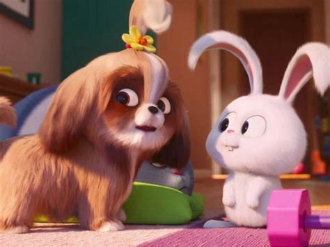 Ve El Nuevo Trailer De La Vida Secreta De Tus Mascotas 2 Y Gana Un Premio