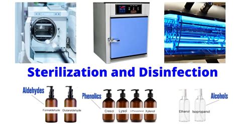 Sterilization and Disinfection Methods • Microbe Online