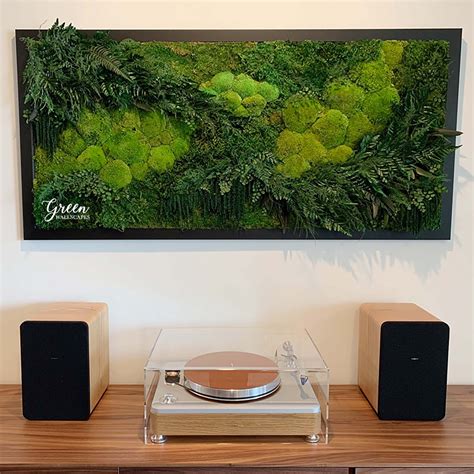 Custom Botanica Wall Art | Moss and Fern Art – Green Wallscapes