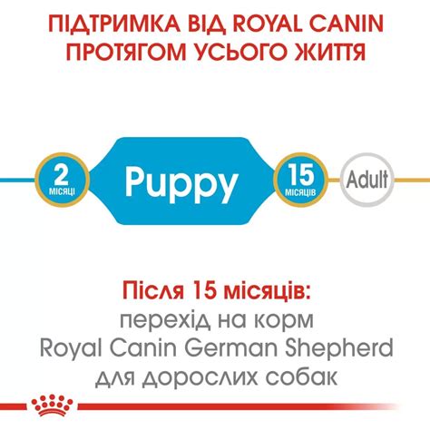 Royal Canin GERMAN SHEPHERD PUPPY – купить корм Роял Канин для щенков ...