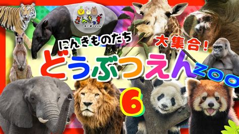 【子供向け 動物アニメ】動物園へ行こう！part619種類の動物大集合！ライオン ぞうさん キリン トラ ヒョウ｜肉食動物 草食動物 動物