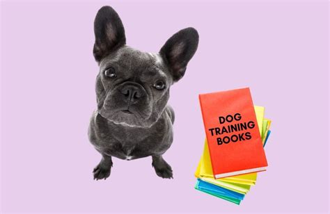 10 Best Dog Training Books Of All Time