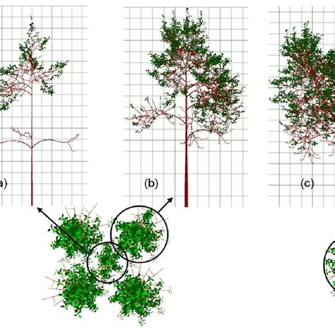 3 Simulation Of Periodic Branching Patterns Cf Mathieu Et Al Download Scientific Diagram