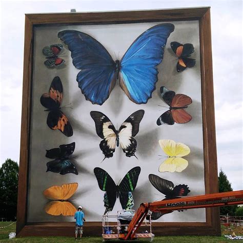 Street Artist Turns Buildings Into Gigantic Butterfly Specimen Cases