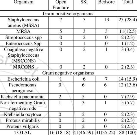 Frequency Of Gram Positive And Gram Negative Organisms Isolated From Download Scientific