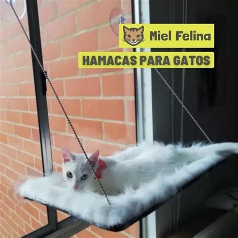 Hamacas De Ventana Para Gatos Unidad A