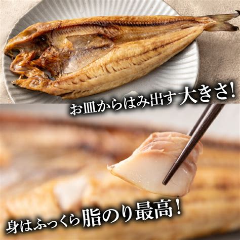 【楽天市場】【ふるさと納税】珍味 干物 ホッケ北海道産 浜干し振り塩 ほっけ一夜干し（真ほっけ礼文産約380g×2枚）北海道 石狩市