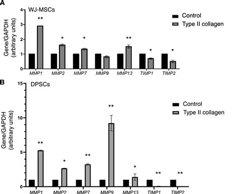 Type Ii Collagen Induces Chondrogenic Differentiation Mscs By Mediating Download Scientific