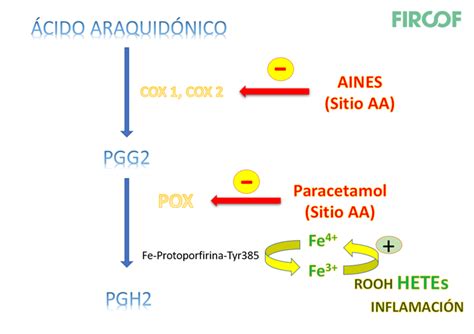 PARACETAMOL Acetaminofeno FIRCOF