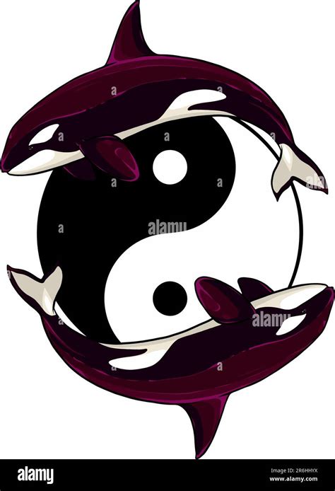 Vector Illustration Of Two Killer Whale Around Yin Yang Symbol Stock