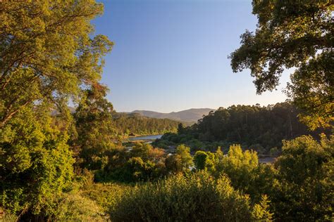 PROTECCIÓN AMBIENTAL: ¿QUIÉN Debe ACTUAR?