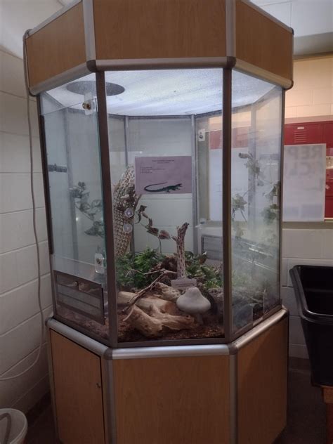 Probably the best animal enclosure that was at the high school I went ...