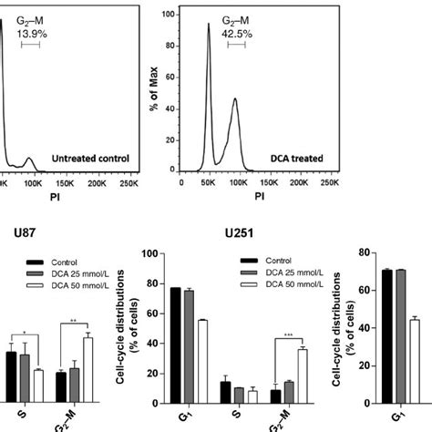 Dichloroacetate Dca Induces Cell Cycle Arrest In Glioblastoma Cells